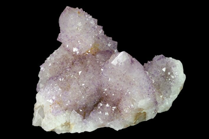 Cactus Quartz (Amethyst) Crystal Cluster - South Africa #137798